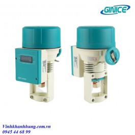 Bộ điều khiển van tuyến tính có hiển thị GEA-20PD/35PD Ginice